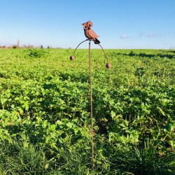 Decorative garden stake, iron owl balance  €20.90 LEZARD DU JARDIN