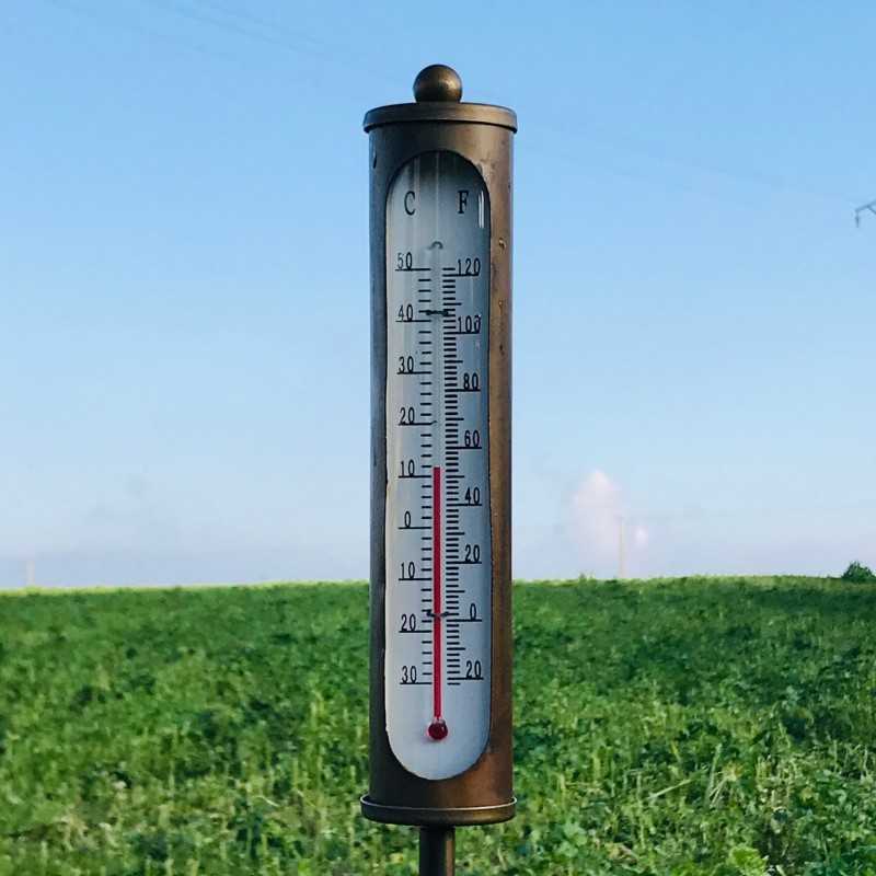 Bronze-colored iron garden thermometer stake