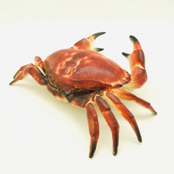 Realistic Cast Iron Crab Key Hider