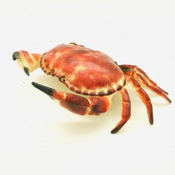Realistic Cast Iron Crab Key Hider