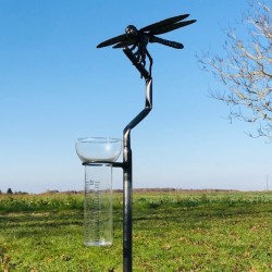 Original Decorative Rain Gauge Dragonfly in Forged Stainless Steel, H134 cm, Funnel View