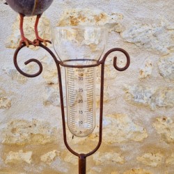 Decorative bird rain gauge with hat and graduated funnel, view of the graduated glass