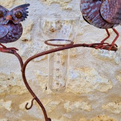 Charming Decorative Rain Gauge Spike – Stylish Outdoor Rain Measurement Instrument