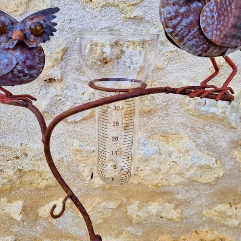 Lovely decorative rain gauge to stake into the ground.