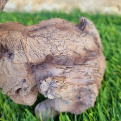Resin Rabbit