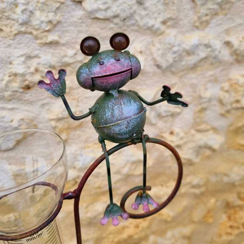 Colorful frog-design decorative rain gauge, 132 cm, €34.90 LEZARD DU JARDIN