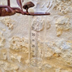 Rusty metal crow rain gauge 127 cm | Garden Lizard.