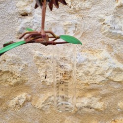 Decorative rain gauge with colourful crows, 127 cm, graduated glass funnel, metal garden décor €39.90 LEZARD DU JARDIN