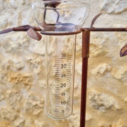 Pluviomètre à piquer motif chat et souris Tuteur Plante Décoration de Jardin en Fer Patiné et entonnoir Tube en Verre 39,90 € L