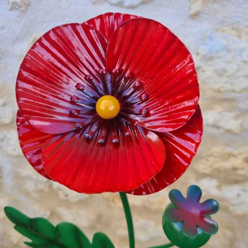 Iron poppy with leaves