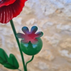 Iron poppy with leaves