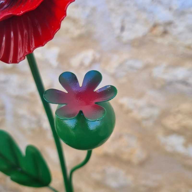 Iron poppy with leaves