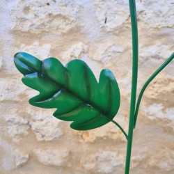 Iron poppy with leaves