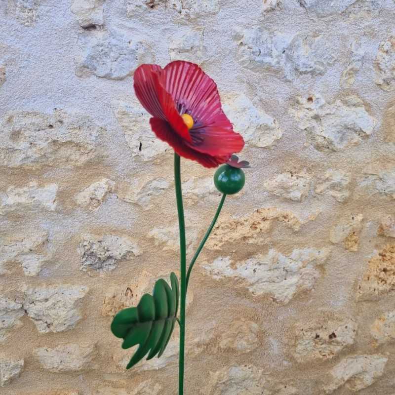 Iron poppy with leaves