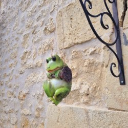 Hanging Resin Frog