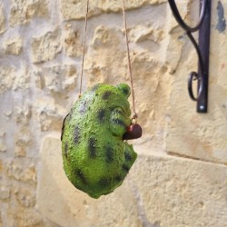 Hanging Resin Frog