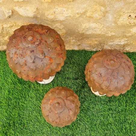 Beige, brown, and rust-colored iron mushrooms
