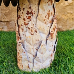 Beige, brown, and rust-colored iron mushrooms
