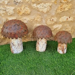 Beige, brown, and rust-colored iron mushrooms
