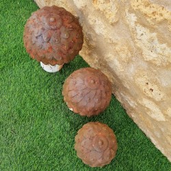 Beige, brown, and rust-colored iron mushrooms