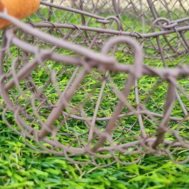 Yellow/green iron basket €22.90 LEZARD DU JARDIN