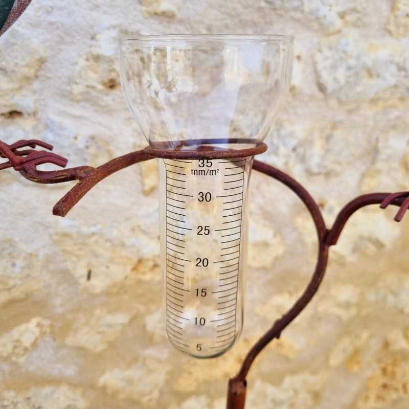 Rain Gauge with Stake Plant Support Decorative Garden Ornament Patinated Iron Crow Motif and Funnel Glass Tube View of the Funne