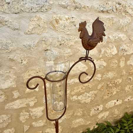 Close-up view of a rooster rain gauge with a graduated funnel