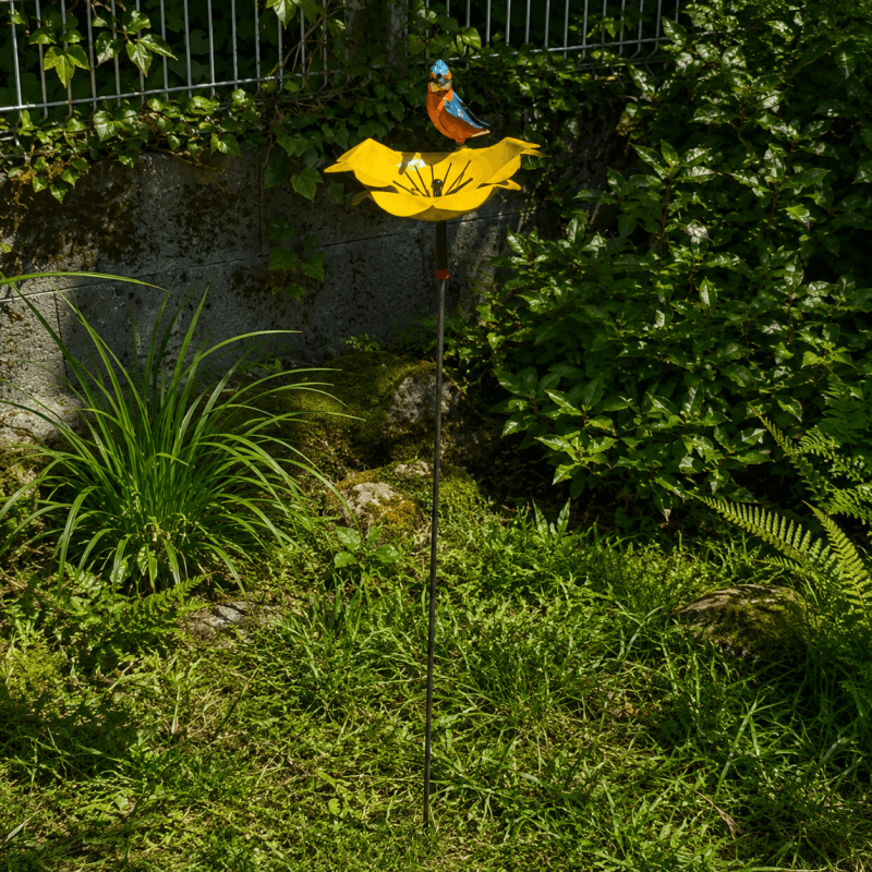 Decorative garden flower – overview