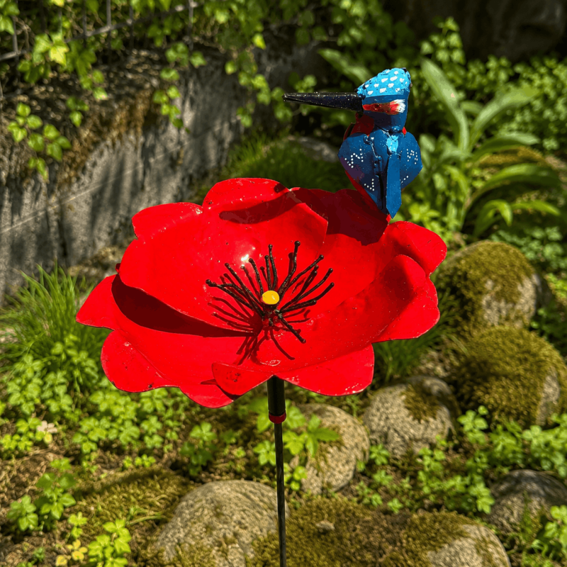 Decorative garden flower