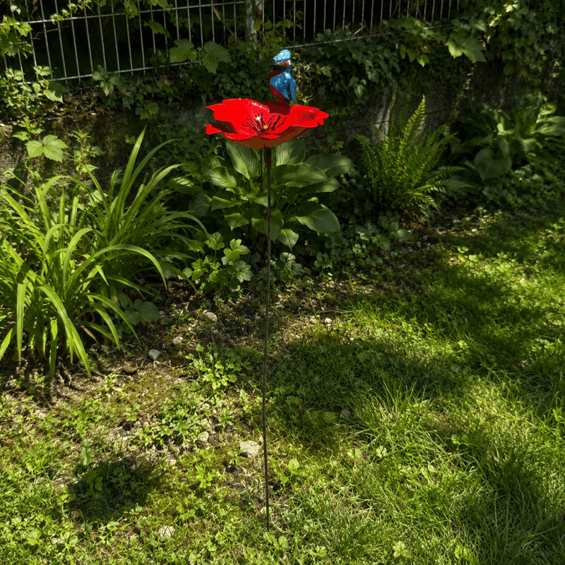 Decorative garden flower- overview