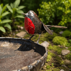 Bain d’oiseaux mangeoire en métal recyclé avec rouges-gorges