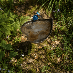 Baignoire à oiseaux en métal recyclé en forme de cœur avec martin-pêcheur – H 103 x L 31 cm