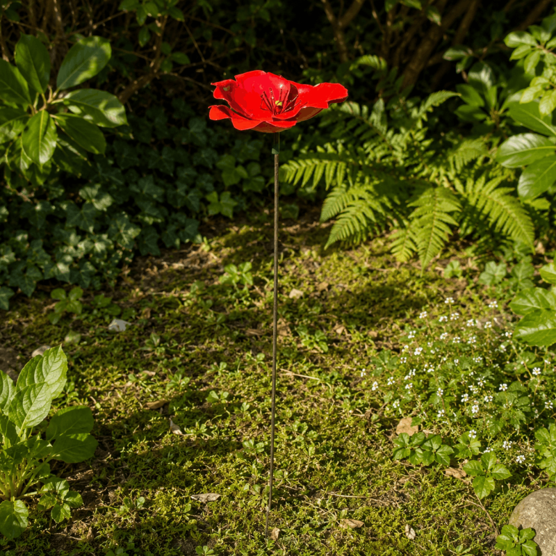 Poppy- overview