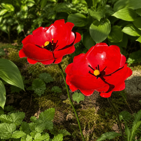 Poppy