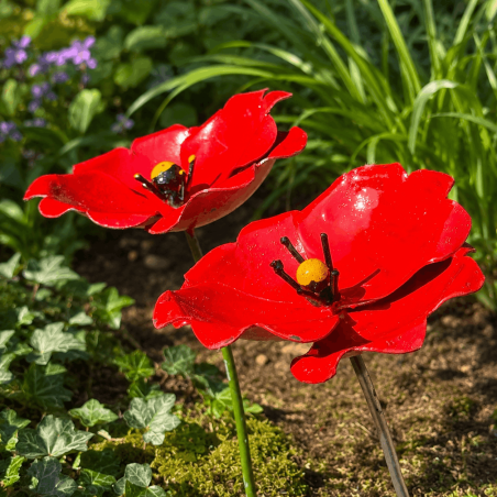 Poppy — side view